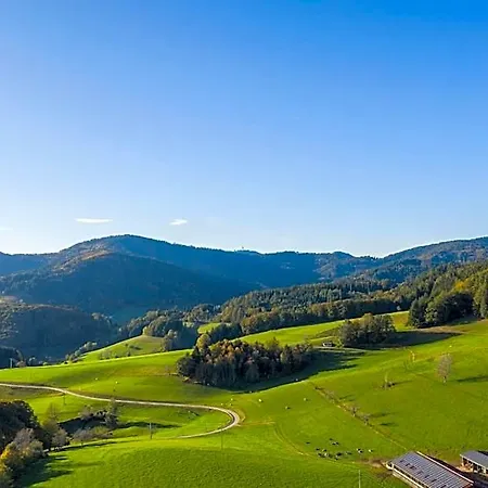 Hotel-restaurant Sennhütte Im Herzen Des Südschwarzwalds Hotel