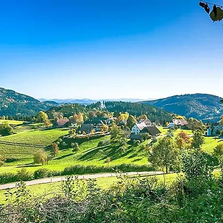 Hotel Hotel-restaurant Sennhütte Im Herzen Des Südschwarzwalds 3*