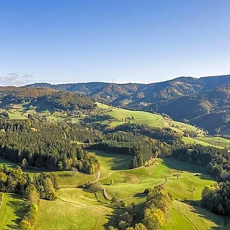 Hotel-restaurant Sennhütte Im Herzen Des Südschwarzwalds 3* Kleines Wiesental