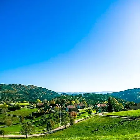 Hotel-restaurant Sennhütte Im Herzen Des Südschwarzwalds