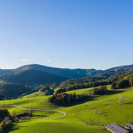 Hotel-restaurant Sennhuette Im Herzen Des Suedschwarzwalds 3*