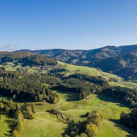 Hotel-restaurant Sennhuette Im Herzen Des Suedschwarzwalds 3*