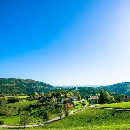 Hotel-restaurant Sennhütte Im Herzen Des Südschwarzwalds 3* Kleines Wiesental