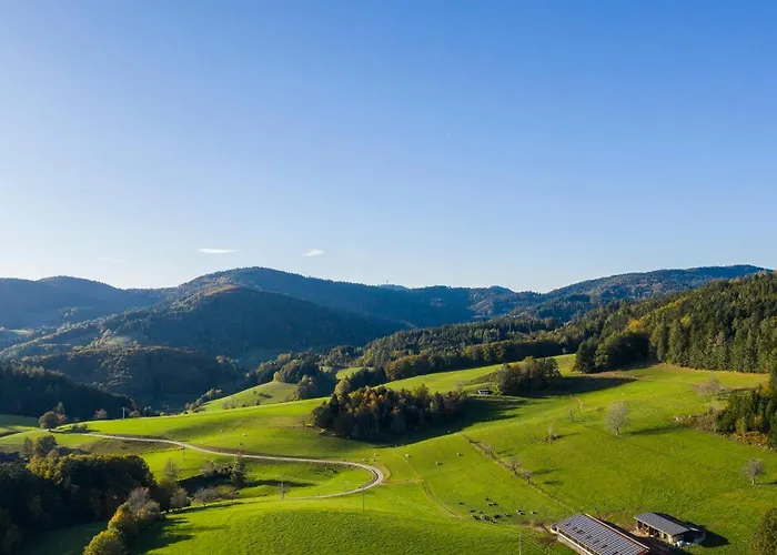 Hotel-restaurant Sennhuette Im Herzen Des Suedschwarzwalds 3*