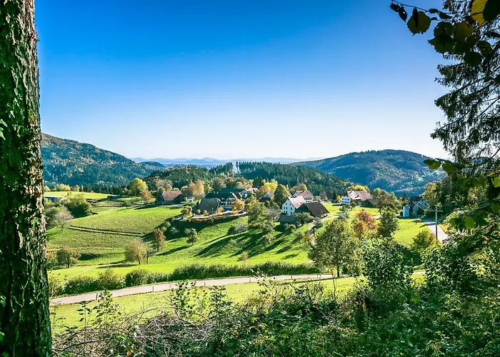 Hotel Hotel-restaurant Sennhuette Im Herzen Des Suedschwarzwalds Kleines Wiesental