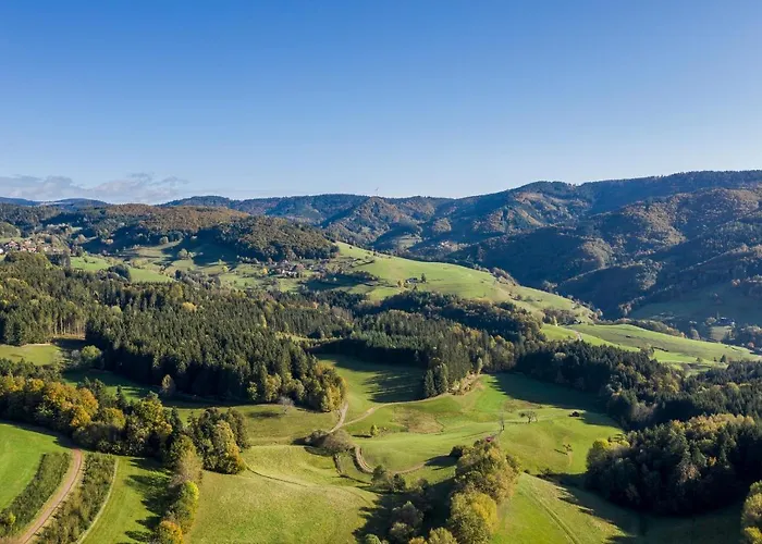 Hotel-restaurant Sennhuette Im Herzen Des Suedschwarzwalds 3*